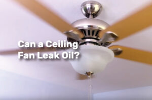 Can a Ceiling Fan Leak Oil realestateke